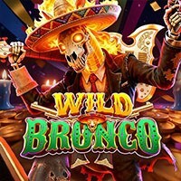 Wild Bronco