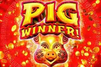 PIG WINNER